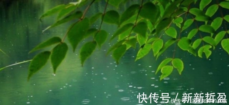 别具一格$杨万里的这首《小雨》,也是一首千古名篇,整首诗充满了诗情画意