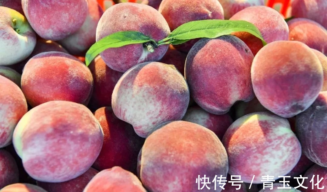 养颜|女性想要皮肤好,要坚持吃四种食物,淡化皱纹、滋润身体