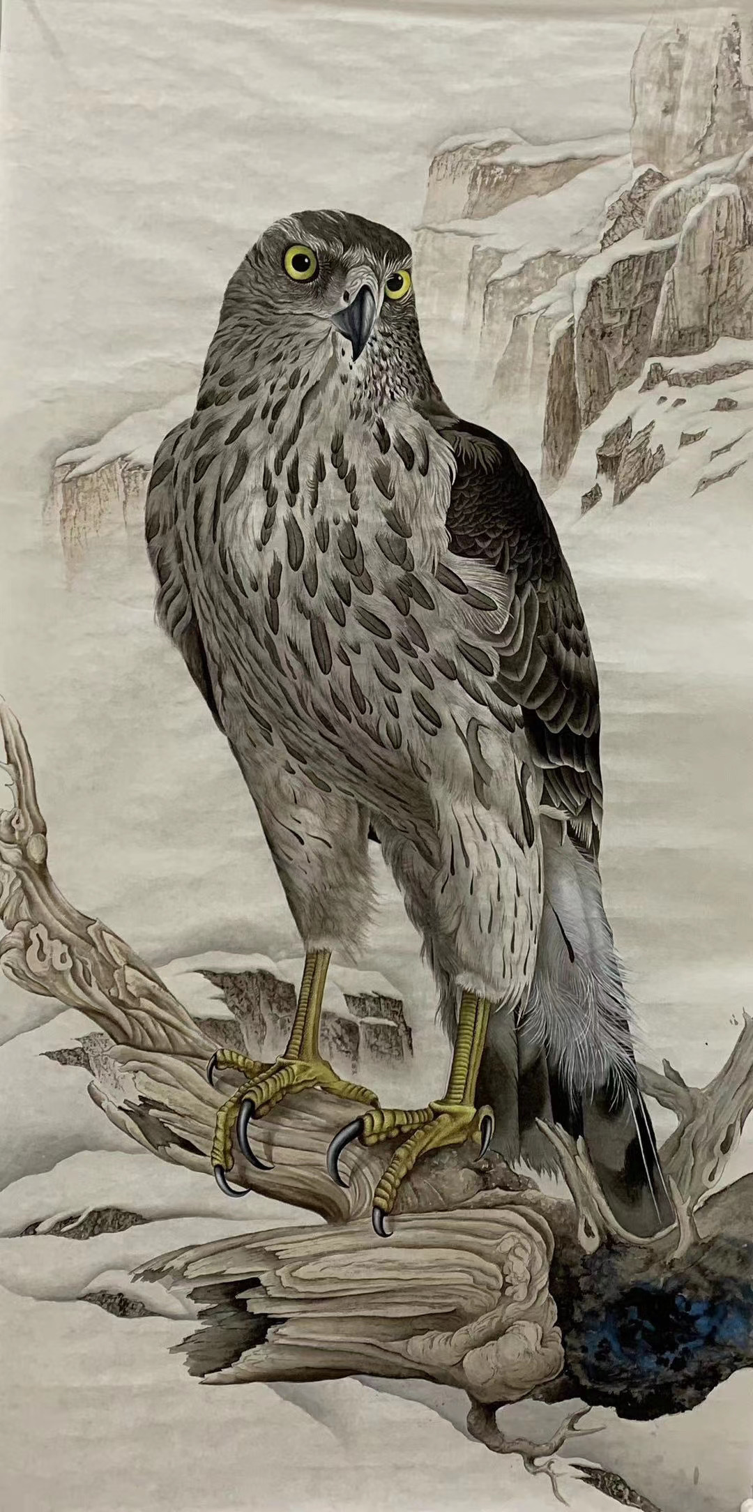 画家专栏 │王建辉——虎卧中堂万事吉祥