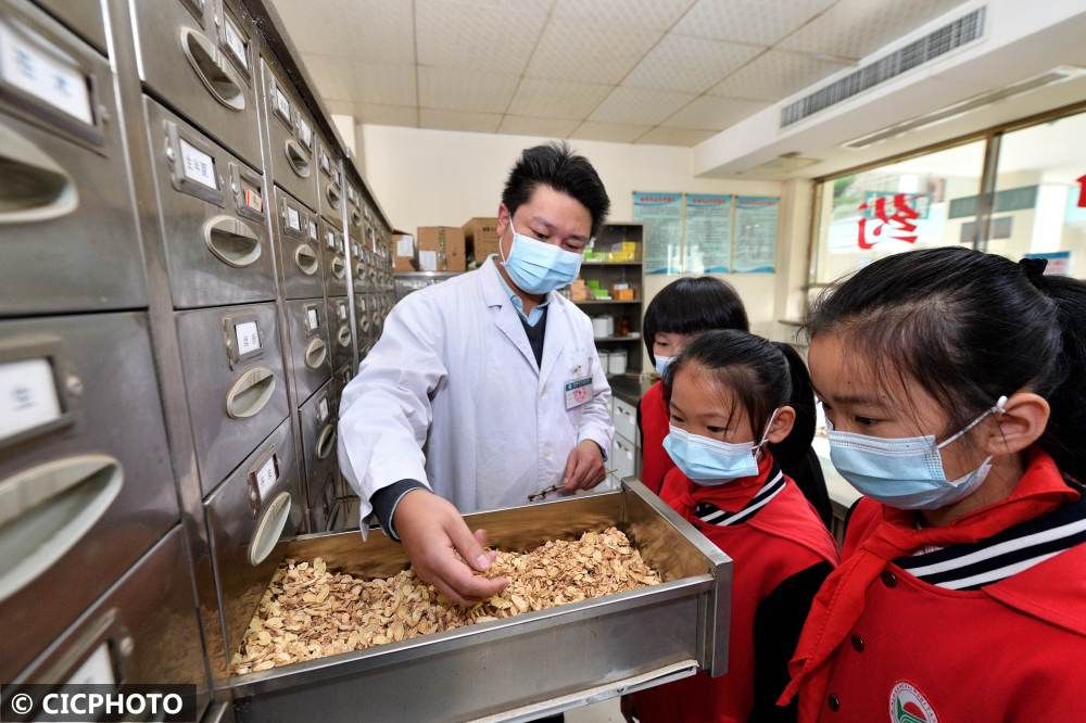 中医|体验中医文化 迎接“世界传统医药日”