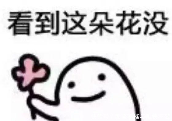 粉丝就|粉丝为“人间富贵花”这个称号争破头