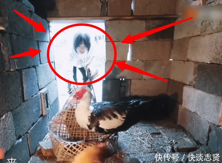 李雪琴 《向往5》继刘晓邑后,又一位全能嘉宾来了,徒手抓鸡还会做木工