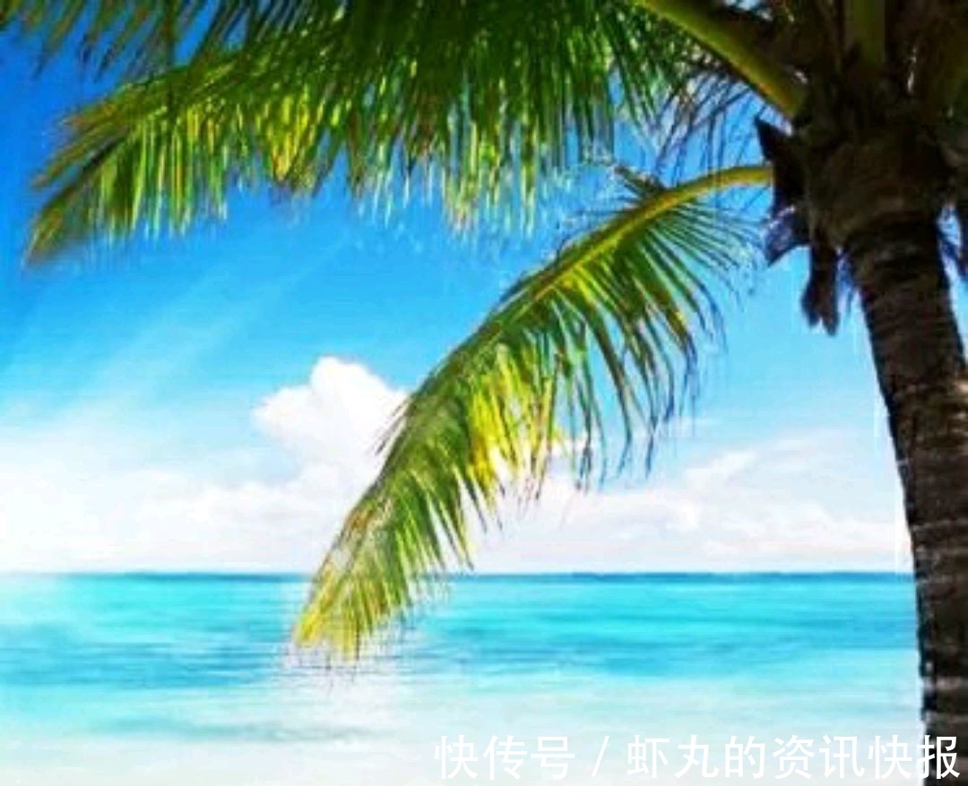 甜蜜收获$人生中的甜蜜收获,大都是从苦痛中来的