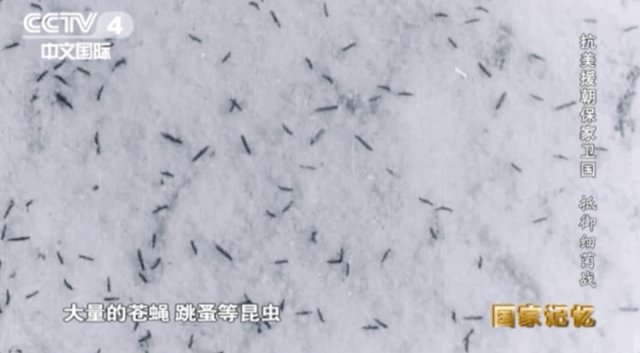 从德特里克堡到朝鲜战场 美国操纵制造了多少灾难 全网搜