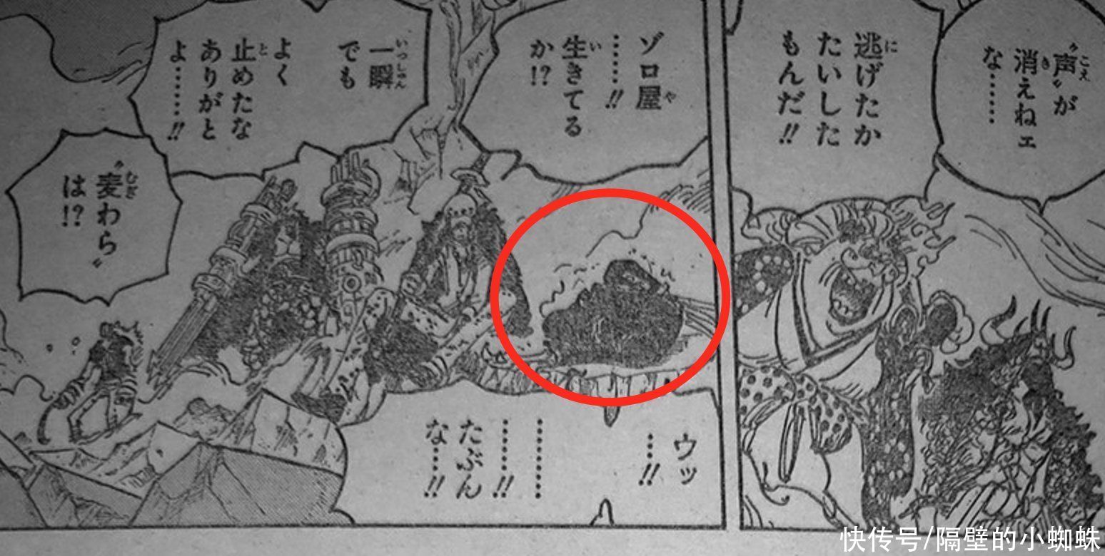 海贼王1009话,尾田是索隆吹实锤!索隆挡下大招后,就吐了血