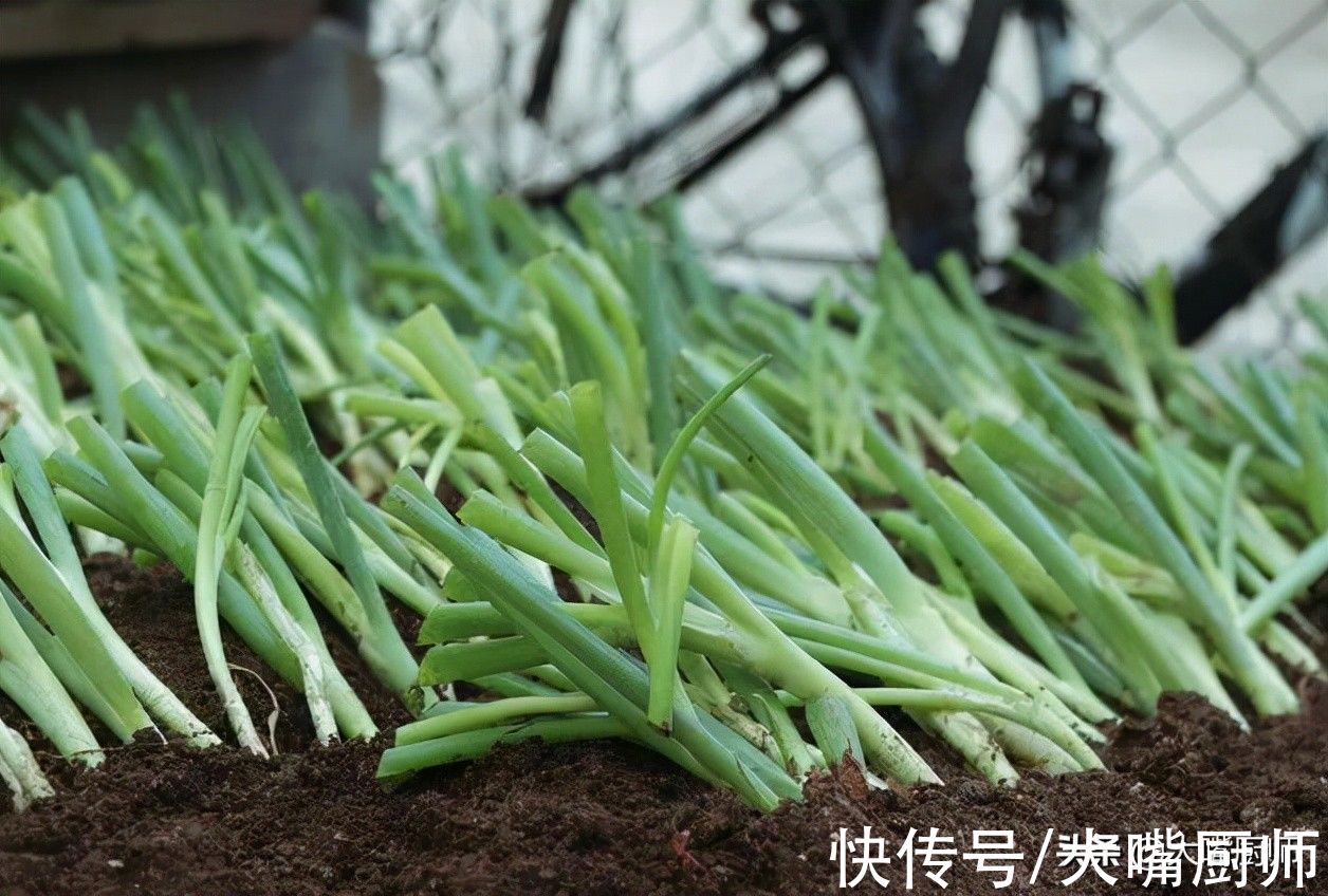 大葱别直接放地上，葱农教我3个小妙招，放半年不变质，特别新鲜