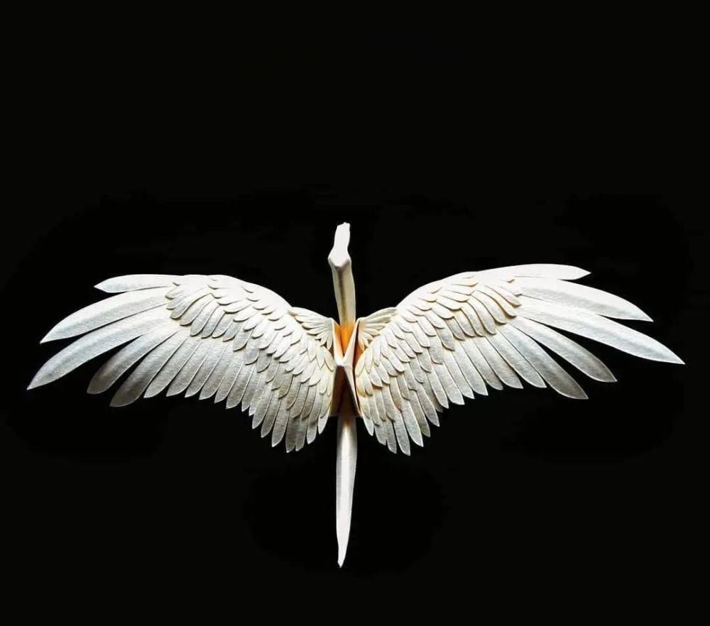 灵感$抑郁小哥把一只2毛钱的千纸鹤折成了我买不起的样子,不但病好了还年入百万