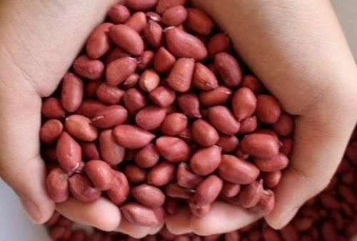便秘|早晨起来空腹吃几粒花生米，三大好处不请自来，老人小孩多吃点
