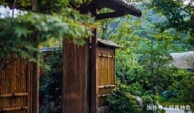 打砸|苹果公司在印度被打砸烧,员工因为薪资下降拖欠而不满!