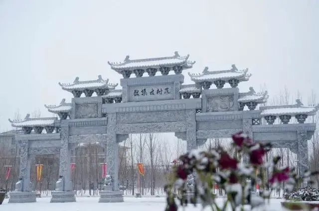 期待|期待一场大雪 邂逅最美山“冬”