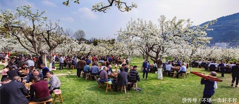  探秘苍溪王姓之源：安东将军王浑的江湖