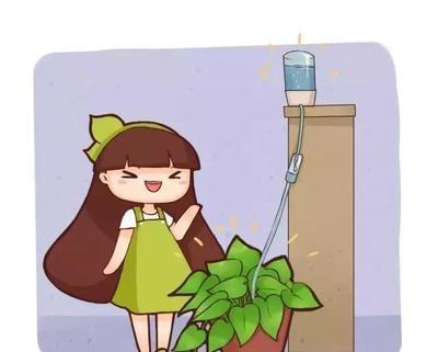 养花懒,出远门,没人浇水怎么办,妙招学起来
