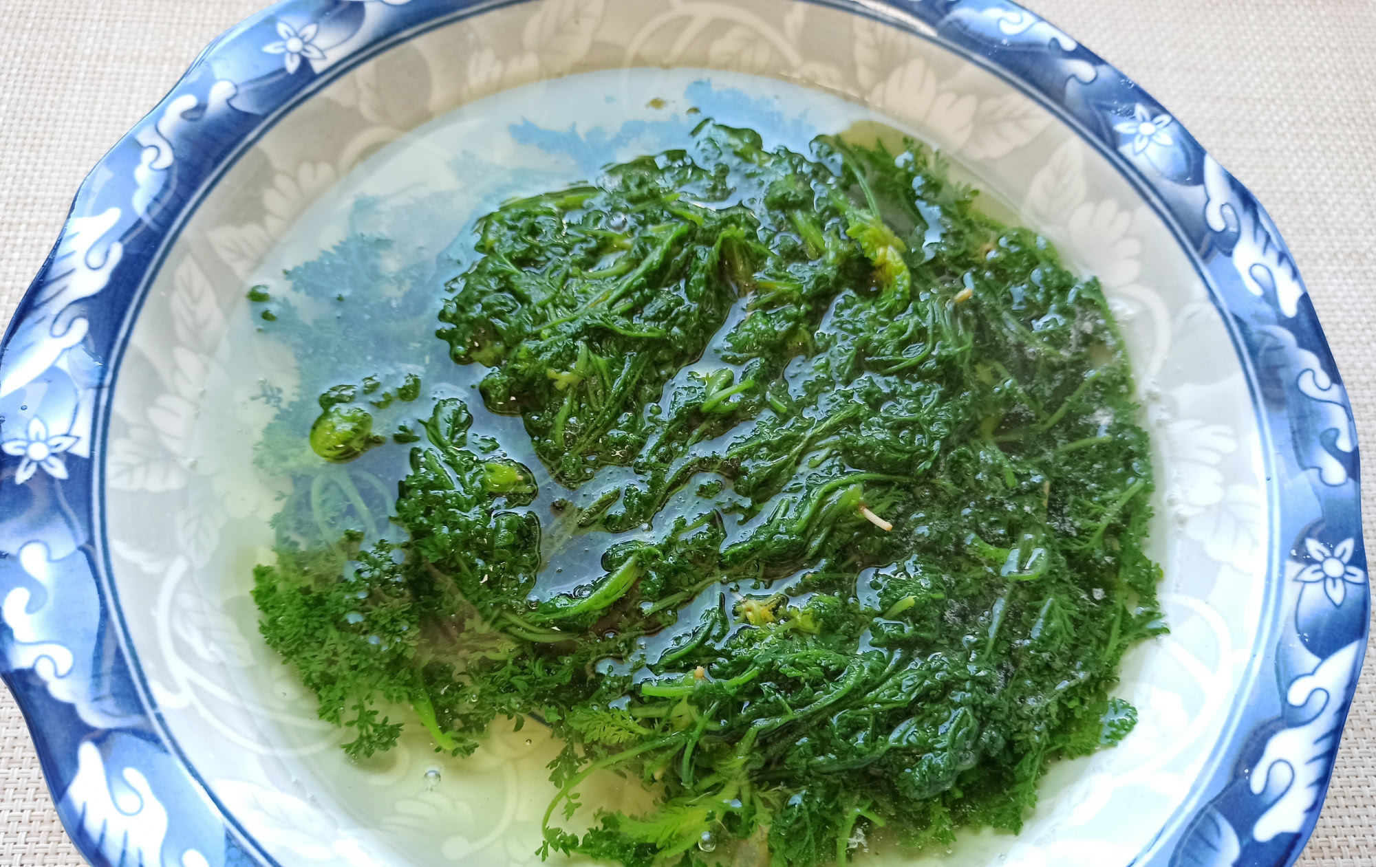 麦蒿|春天的野菜我只认它,做成饺子馅真香,鲜嫩多汁,城里人很少吃过