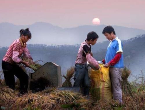 教育|为何说“孤房儿子笨,闹市出人精”?啥道理?孩子的教育不容忽视