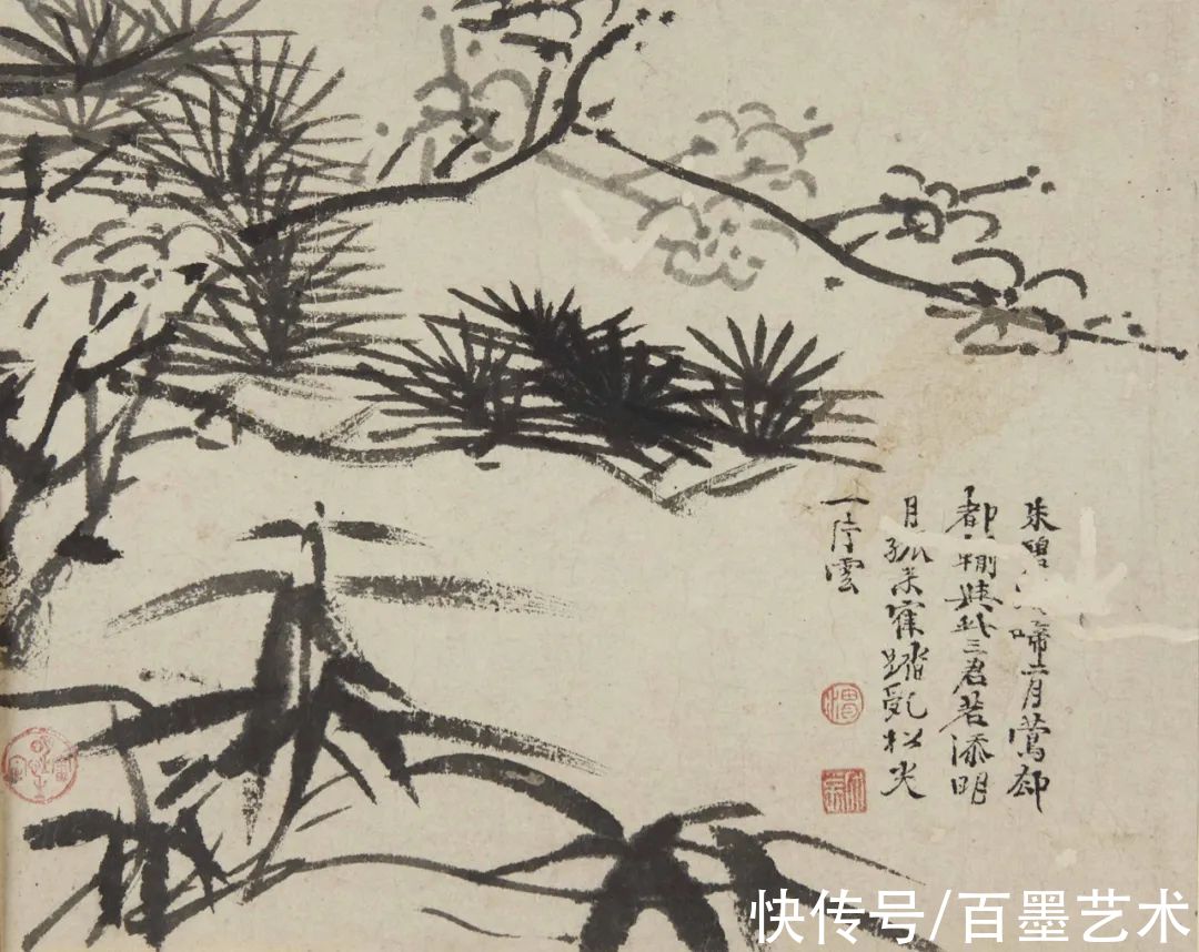 萱花#欣赏 | 草书入画，爽心悦目