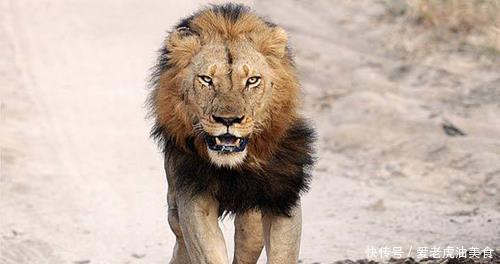 害怕|罗马帝国的奴隶会被强迫做哪些事情他们最害怕做什么