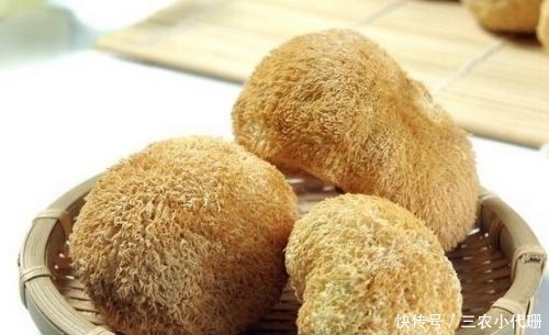 胃病|胃炎反复不用愁了, 这几种食物每天换着吃, 远离胃病困扰!