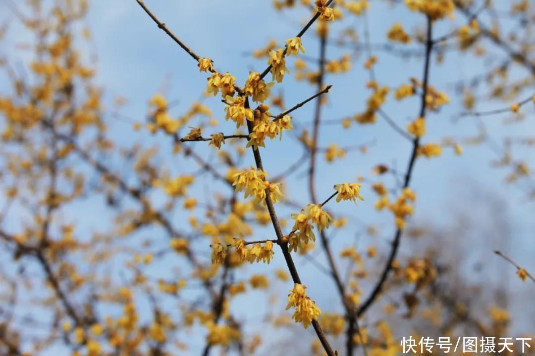 西安冬日美景圣地TOP集锦，也太好拍了