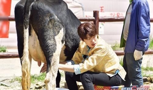 刘宇宁道歉后,《极限挑战》节目组没回应,其他嘉宾态度更寒心