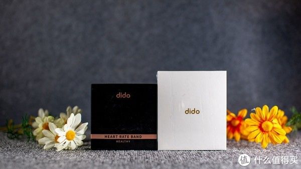 手环|dido Y2智能手环体验评测：准医疗级精度，心电测量更准