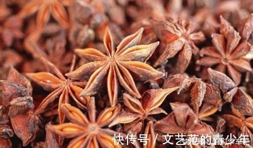 入味|不论卤什么肉,只要加“这6种”香料,肉香软烂,越炖越入味!