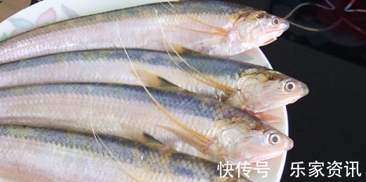 4种“名声大噪”,味道却很差的鱼,大部分人吃的只是“面子”!