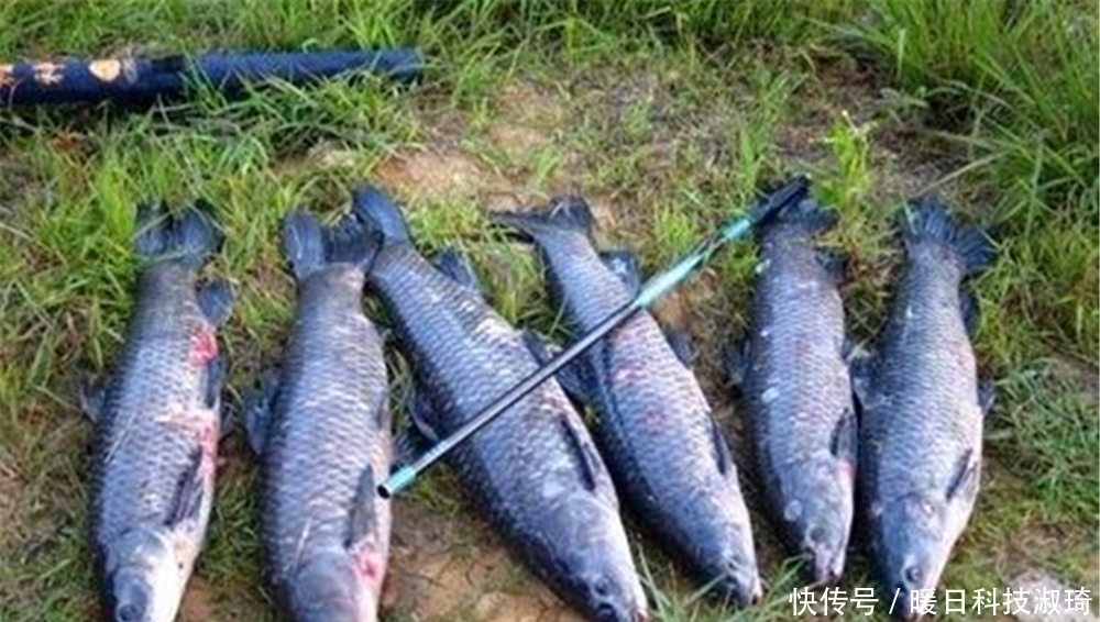 招式|手竿遛大鱼，不必过于追求“动作招式”，记住这几点就不会跑鱼！