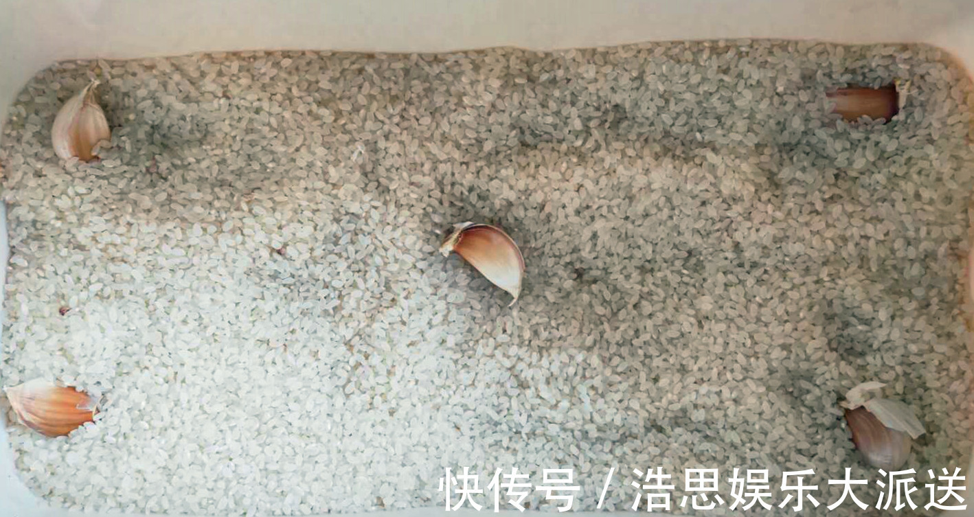 刚知道,保存大米竟这么简单!3个土方法,放1年不生虫不发霉