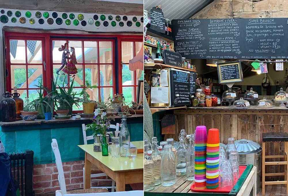  看完这个，想把家里花盆丢了