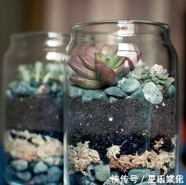 花盆别买了,家里找一找就有,不要的牛仔裤也能当花盆养花