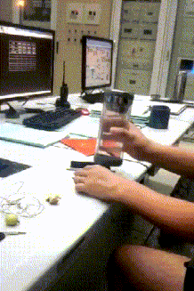 |搞笑GIF段子：家里的蚊帐都快被这傻狗的玩坏了