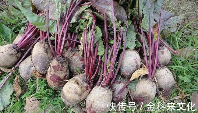 衰老|女性不想过早衰老,多吃3种食物,美容养生,身体棒棒哒!