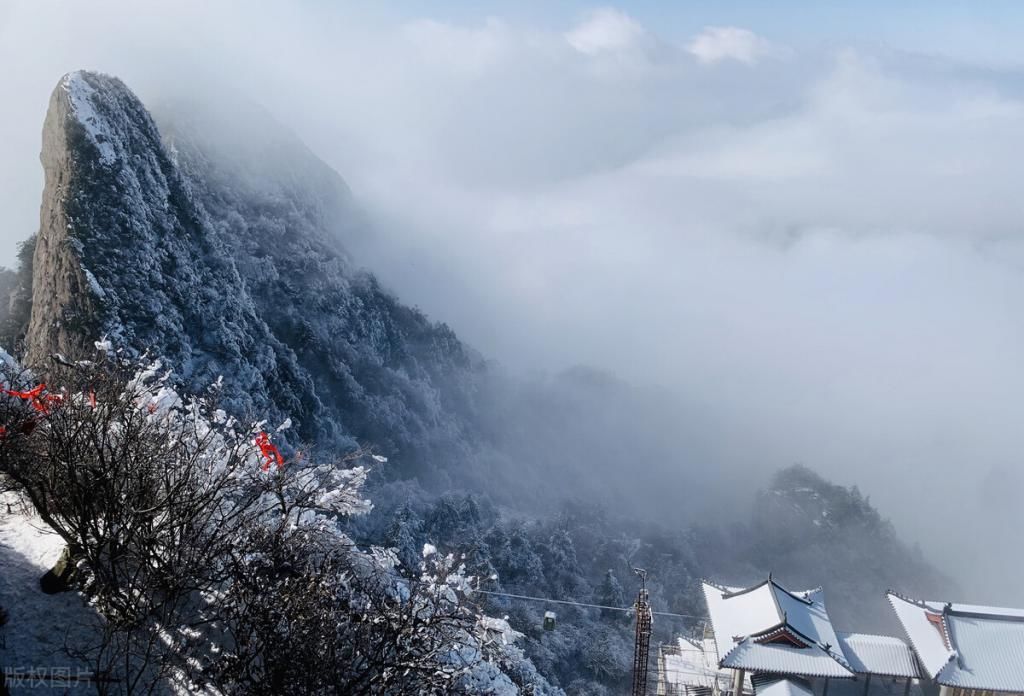 景点|老君山才不是一般的“网红”景点