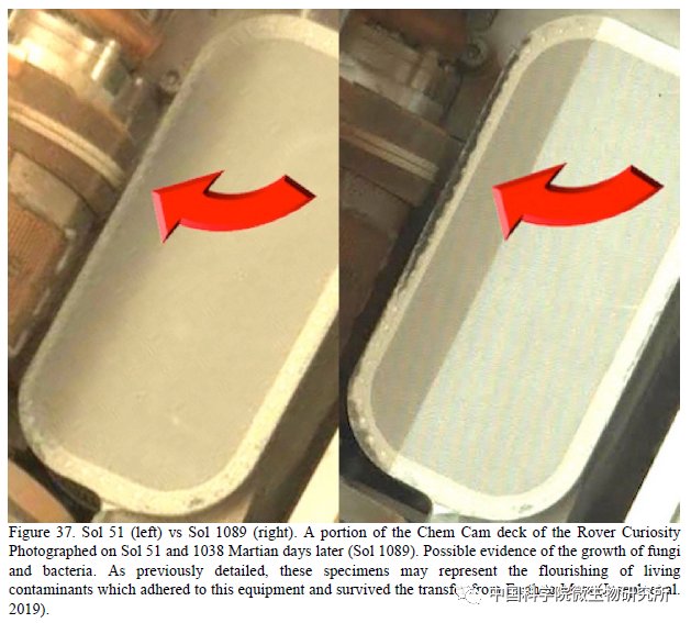 非生物 火星上存在真菌吗？