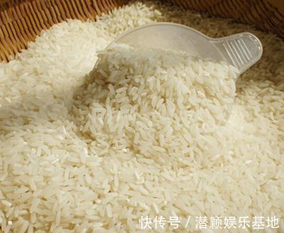 别人泡的酒米,诱鱼效果就是比你的强,那是把控了几个细节!