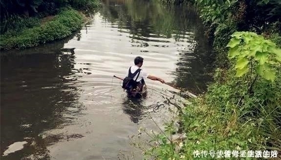 钓友|黑鱼泛滥成灾成群黑鱼聚集河湾产卵电鱼人不如我来来试试