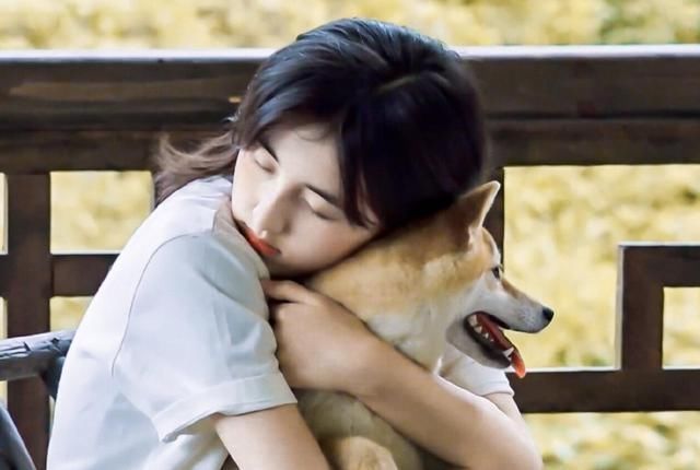 泪目《向往的生活》完美收官,彭彭一句话暗示节目第5季命运