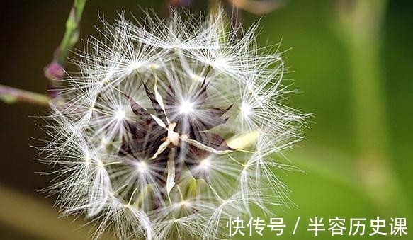 遇见|6月末，遇见心爱人，擦除恋爱火花，动心动情的几大星座