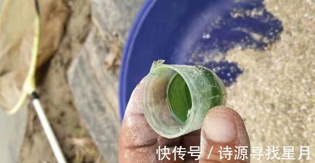 鱼钩|十条鲫鱼跑五条,背后原因,一般人还真不晓得,切记莫忽视!