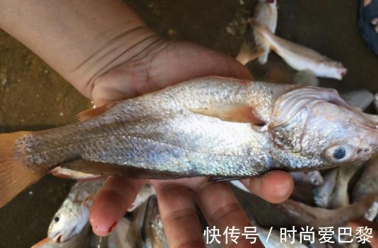 |沙雕动画,搞笑:如果一天只有1秒,上学怎么办!