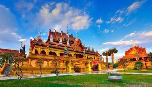 中国最奇特的热带雨林,拥有著名的“擎天树”,最高可达88米!