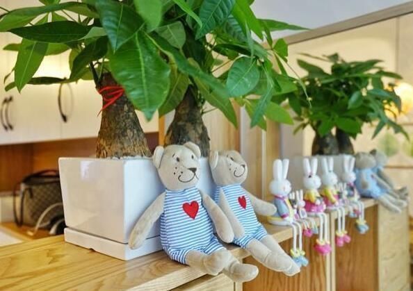 上门|婆婆三个月装修的房子,还在通风中,邻居天天上门参观