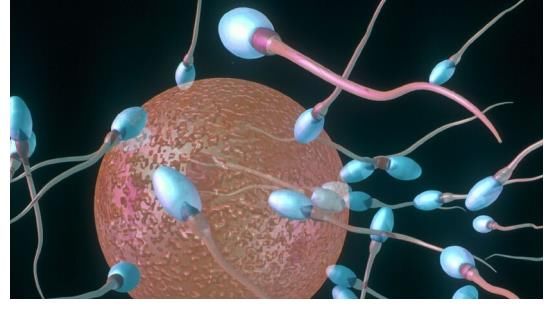 黑豆|3种食物好比“天然送子汤”，医生提醒：备孕不妨多吃，成功率高