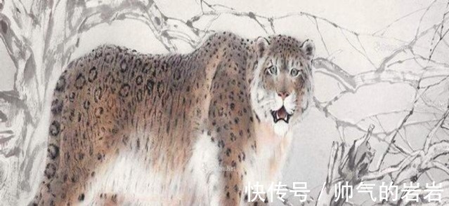 帝江!《山海经》意外发现了一个离奇的记载,将能解开所有的谜底