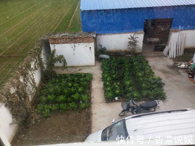 壁画|晒晒农村婆家的婚房，厨房超霸气，院里壁画大得吓人，你见过吗