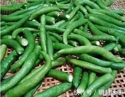 精盐|简单易学的腌辣椒方法,清香鲜辣吃起来特过瘾,放一年也不会坏