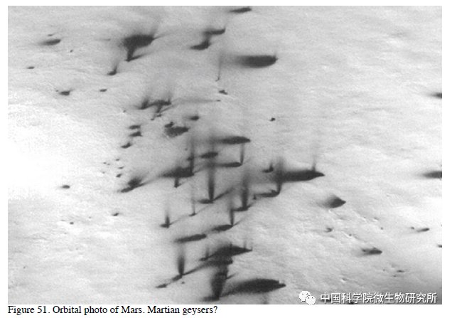 非生物 火星上存在真菌吗？