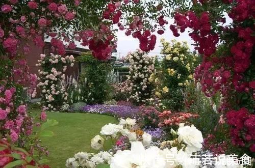 郁金香|7个绝美花园,个个美炸了天,等有钱了我也要建一个