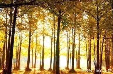 哲理诗@王安石的一首哲理诗,开篇就气势磅礴,全篇更令人耳目一新