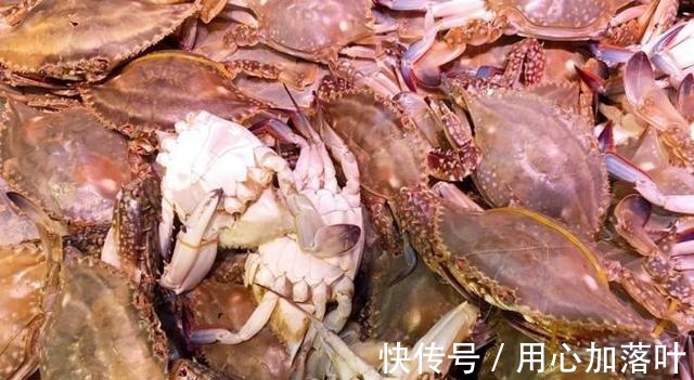 螃蟹|蒸螃蟹时，最忌直接上锅蒸，多做1步，蟹肉鲜嫩入味不流黄！